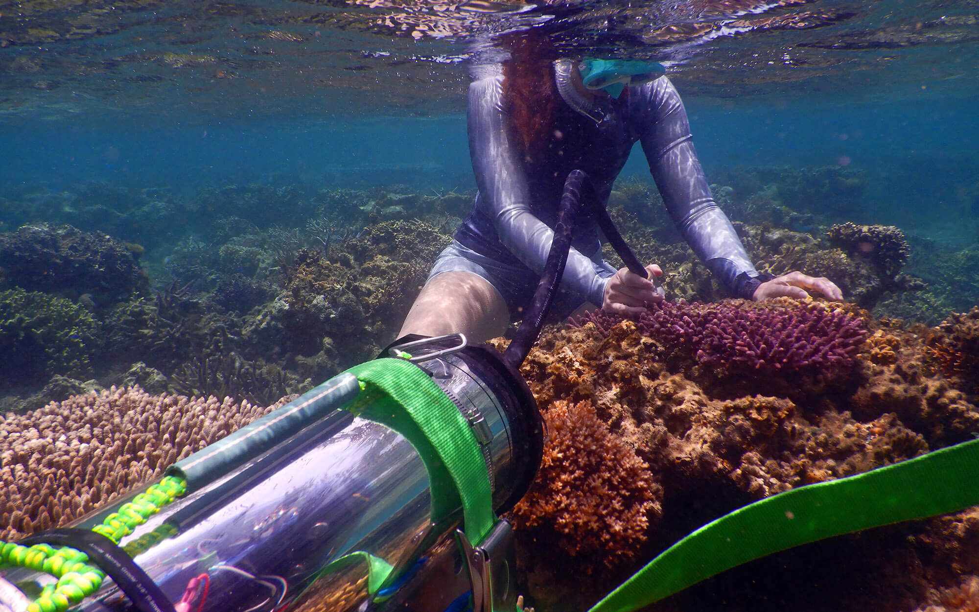 Floating-fluorometers-cabecera
